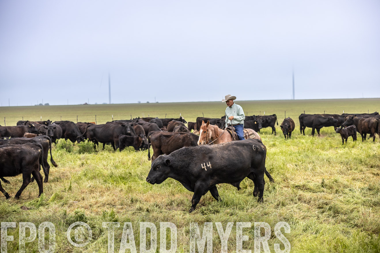 TMyers_PP_CircleBarRanch_TruscottTX_April2024-511135