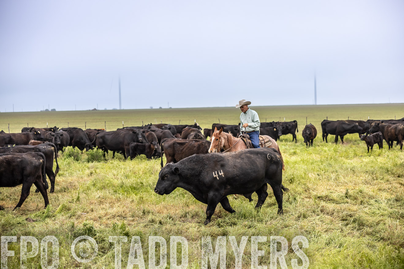 TMyers_PP_CircleBarRanch_TruscottTX_April2024-511136