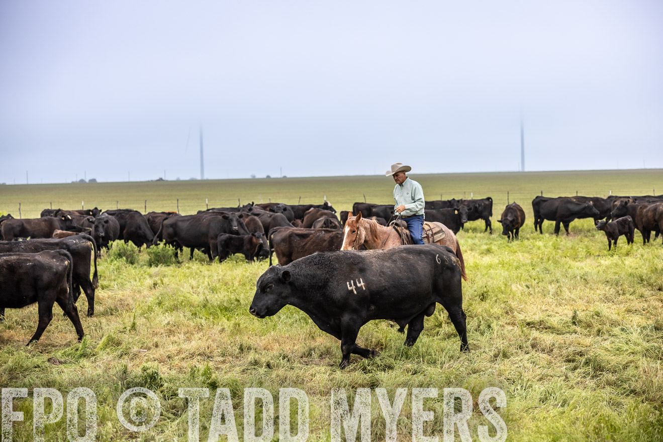 TMyers_PP_CircleBarRanch_TruscottTX_April2024-511137