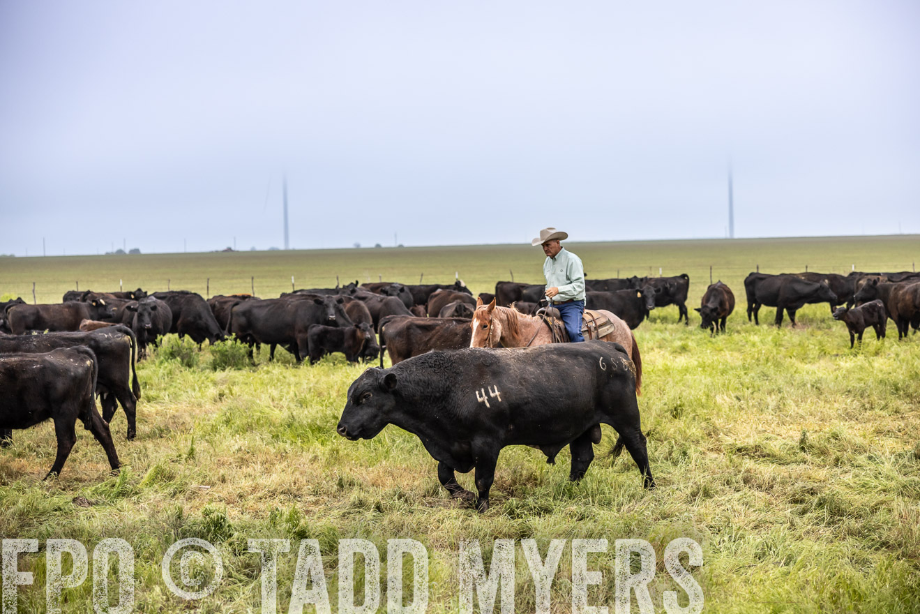 TMyers_PP_CircleBarRanch_TruscottTX_April2024-511138