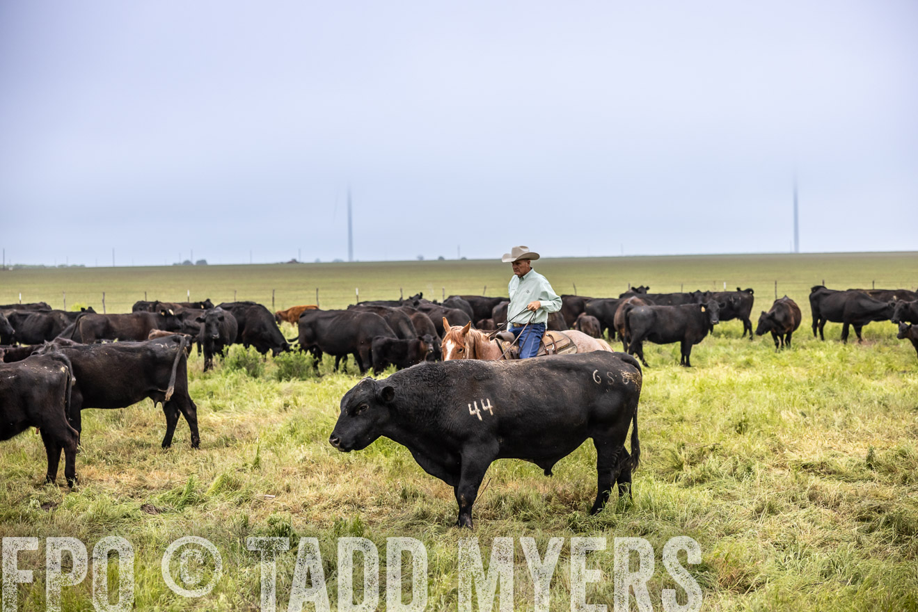 TMyers_PP_CircleBarRanch_TruscottTX_April2024-511142