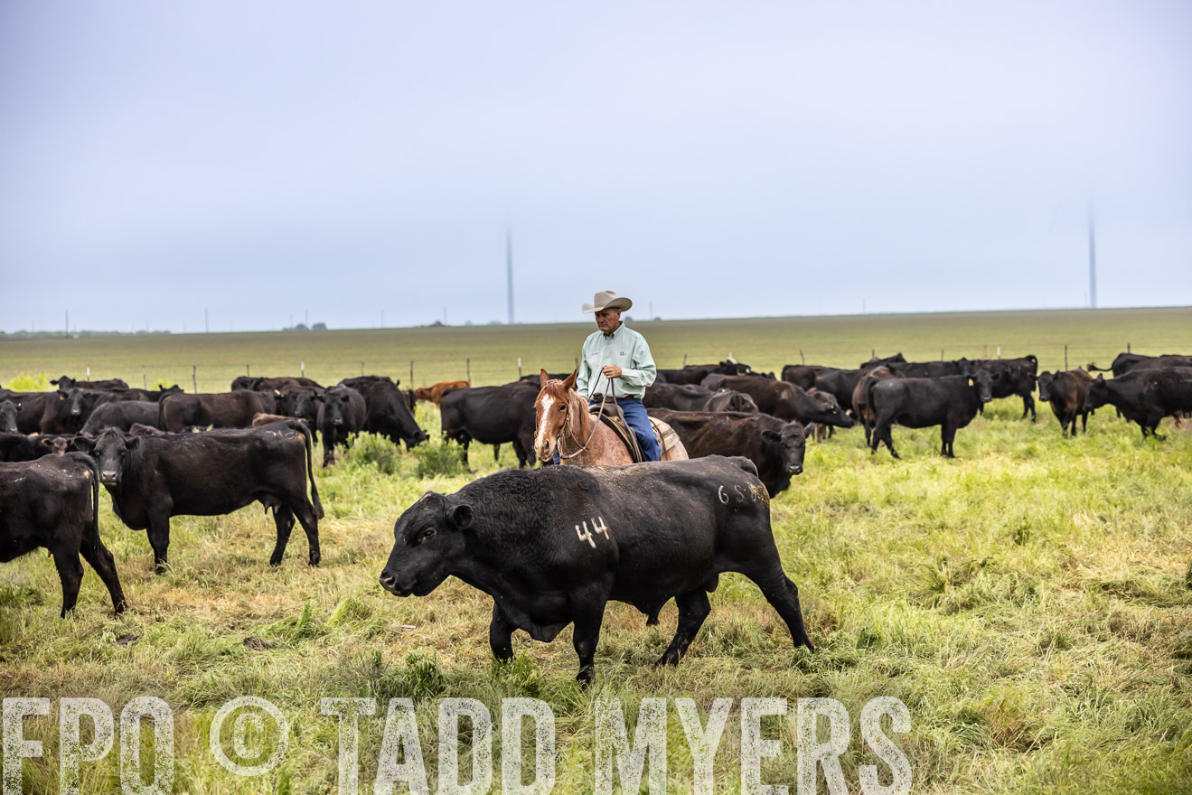 TMyers_PP_CircleBarRanch_TruscottTX_April2024-511147