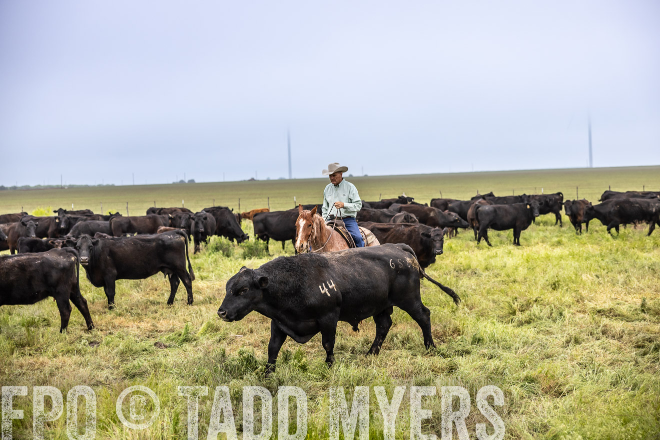 TMyers_PP_CircleBarRanch_TruscottTX_April2024-511148