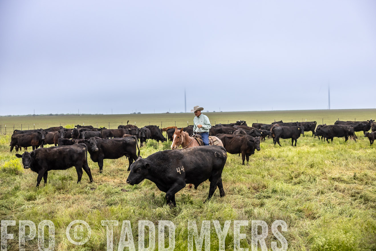 TMyers_PP_CircleBarRanch_TruscottTX_April2024-511151