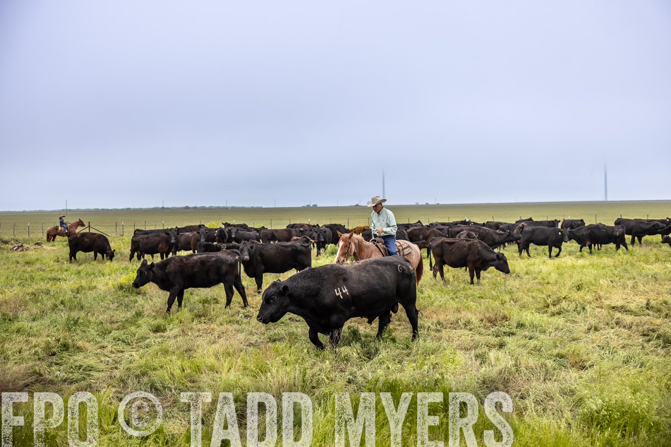 TMyers_PP_CircleBarRanch_TruscottTX_April2024-511153