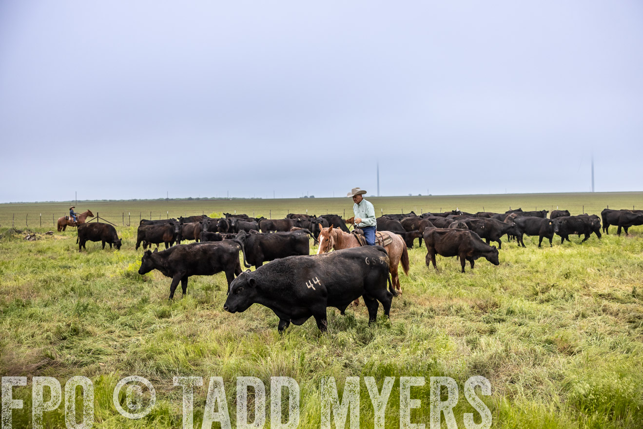 TMyers_PP_CircleBarRanch_TruscottTX_April2024-511156