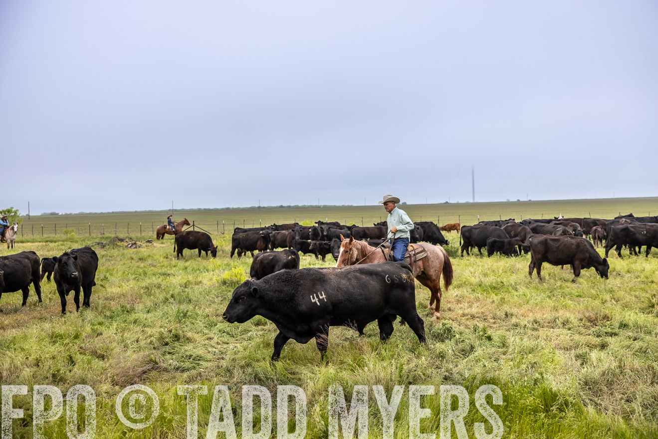 TMyers_PP_CircleBarRanch_TruscottTX_April2024-511159