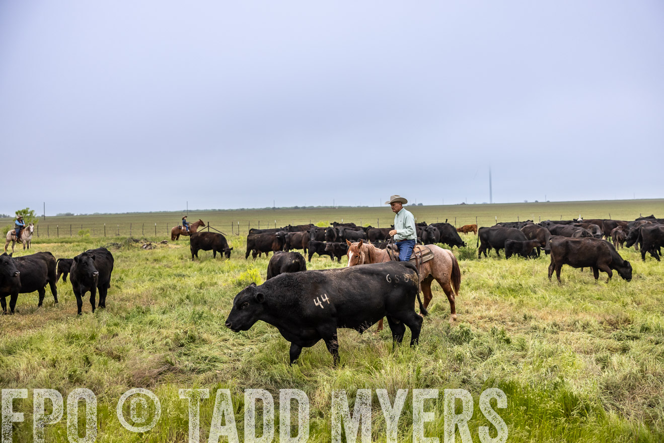 TMyers_PP_CircleBarRanch_TruscottTX_April2024-511161