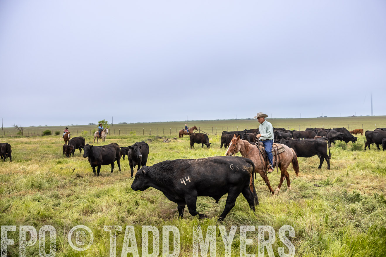 TMyers_PP_CircleBarRanch_TruscottTX_April2024-511169
