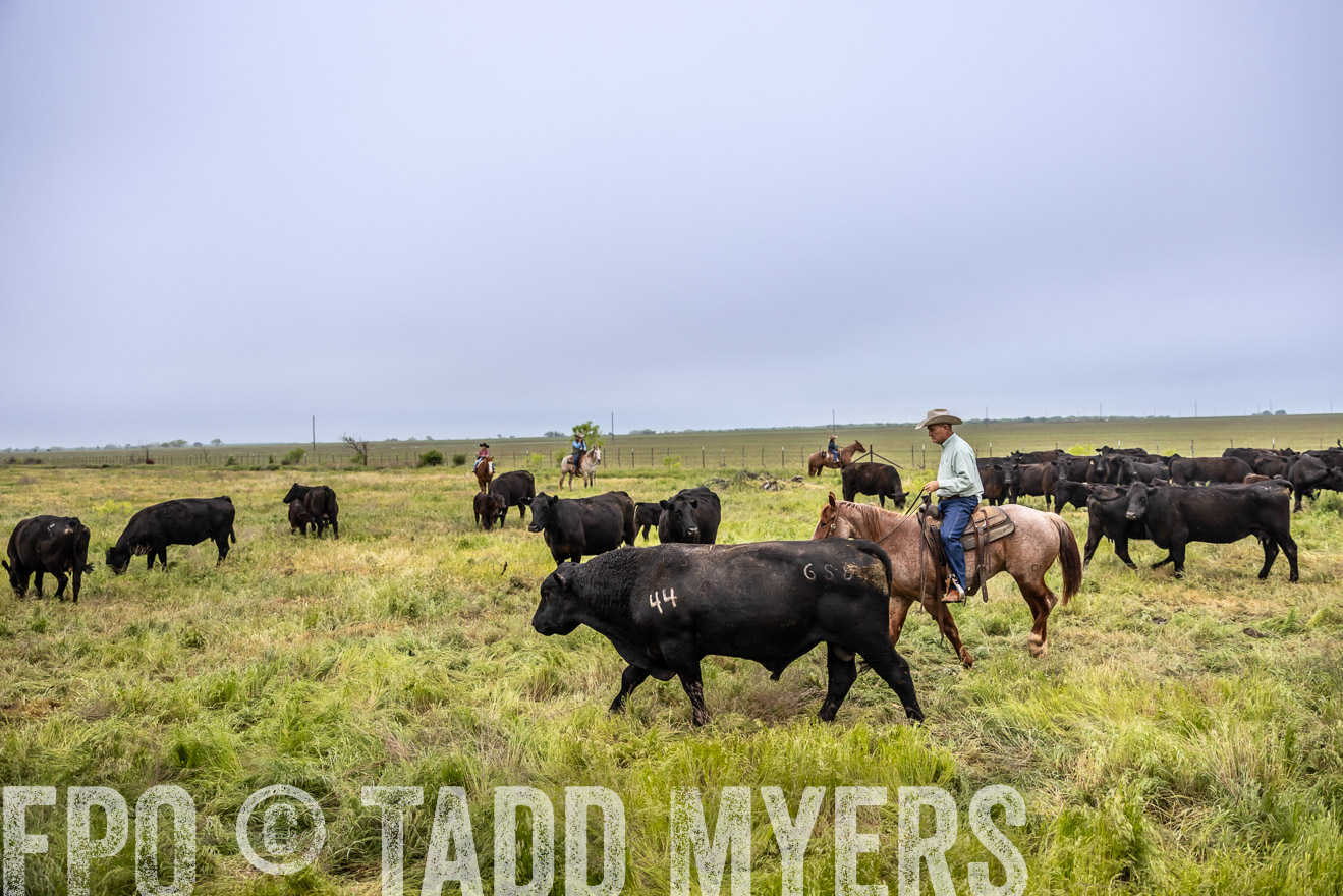 TMyers_PP_CircleBarRanch_TruscottTX_April2024-511170