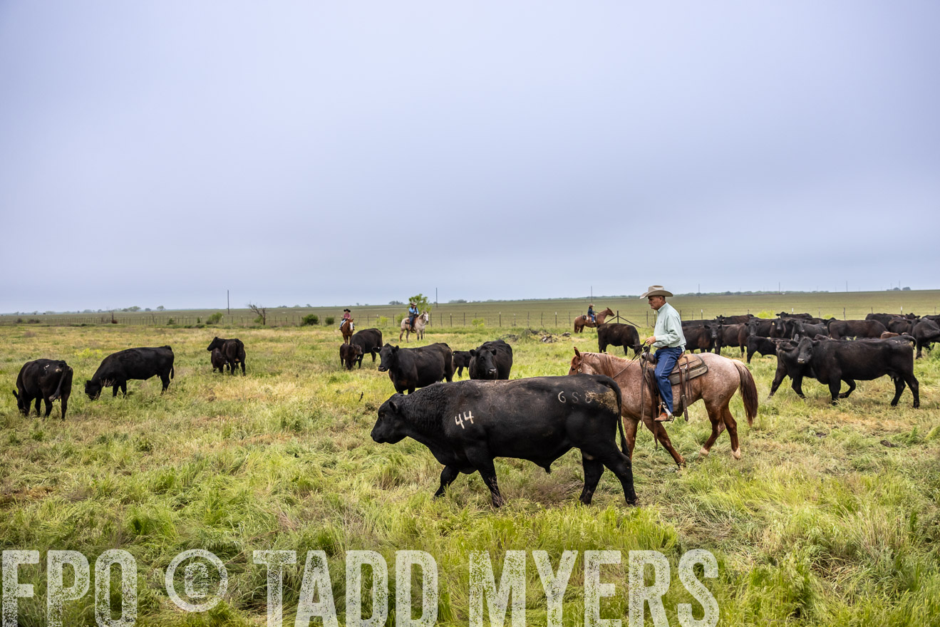 TMyers_PP_CircleBarRanch_TruscottTX_April2024-511171