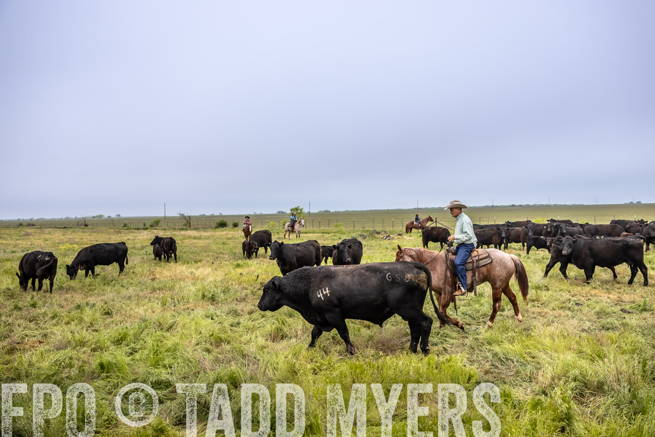 TMyers_PP_CircleBarRanch_TruscottTX_April2024-511172