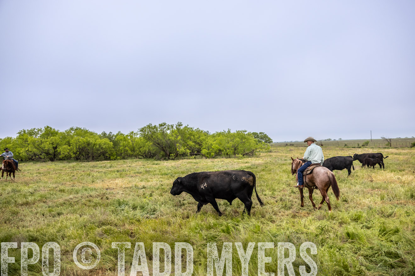 TMyers_PP_CircleBarRanch_TruscottTX_April2024-511190