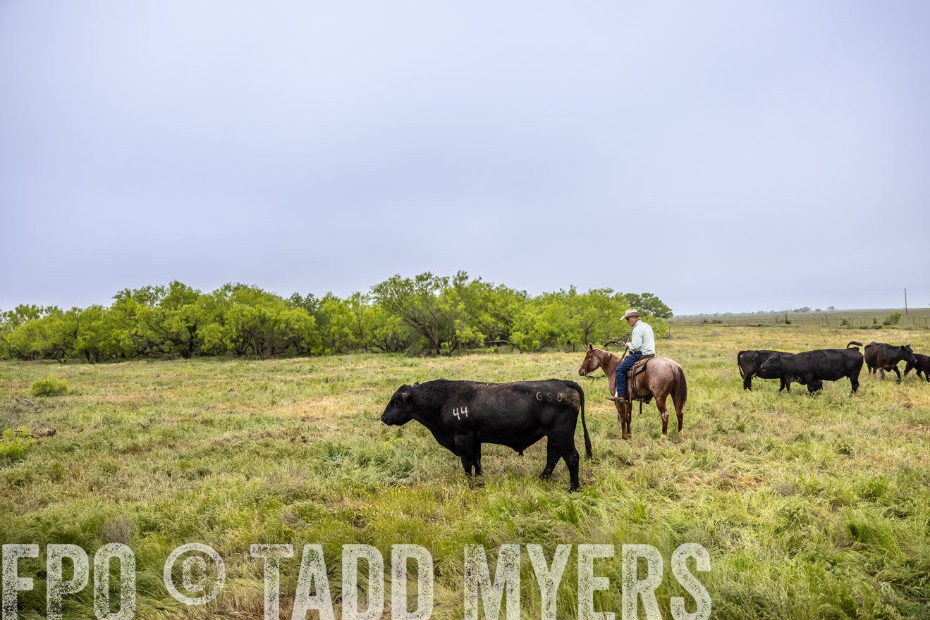 TMyers_PP_CircleBarRanch_TruscottTX_April2024-511204
