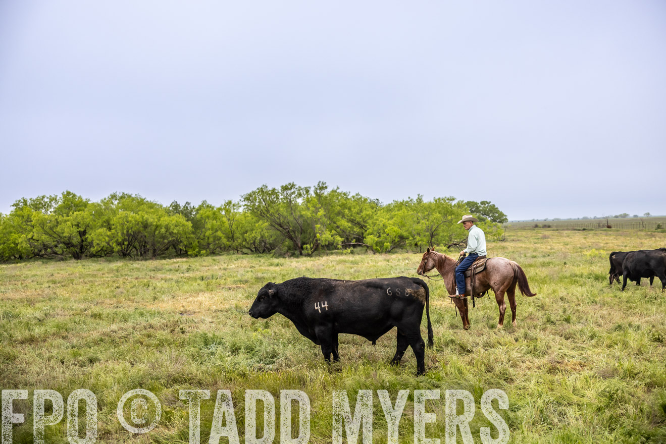 TMyers_PP_CircleBarRanch_TruscottTX_April2024-511213