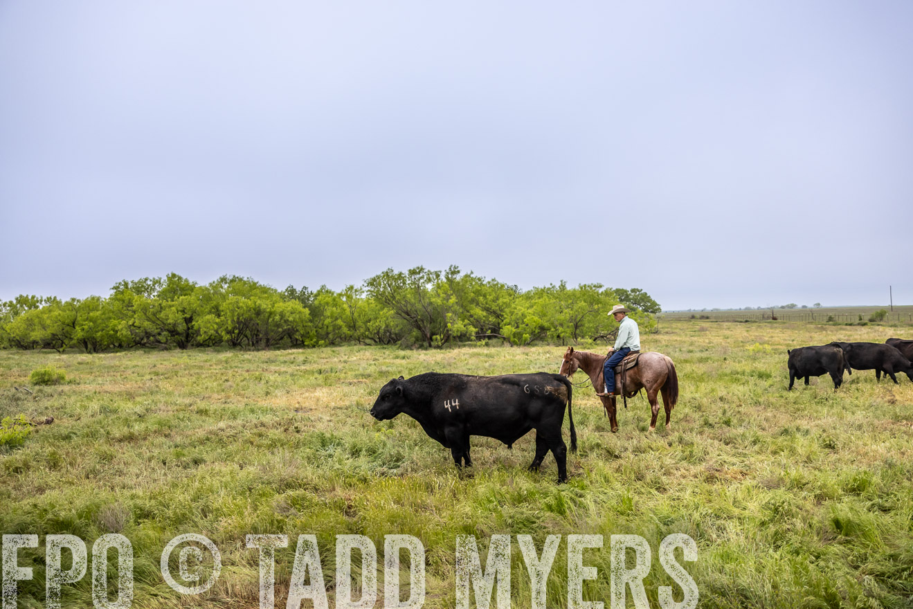 TMyers_PP_CircleBarRanch_TruscottTX_April2024-511222