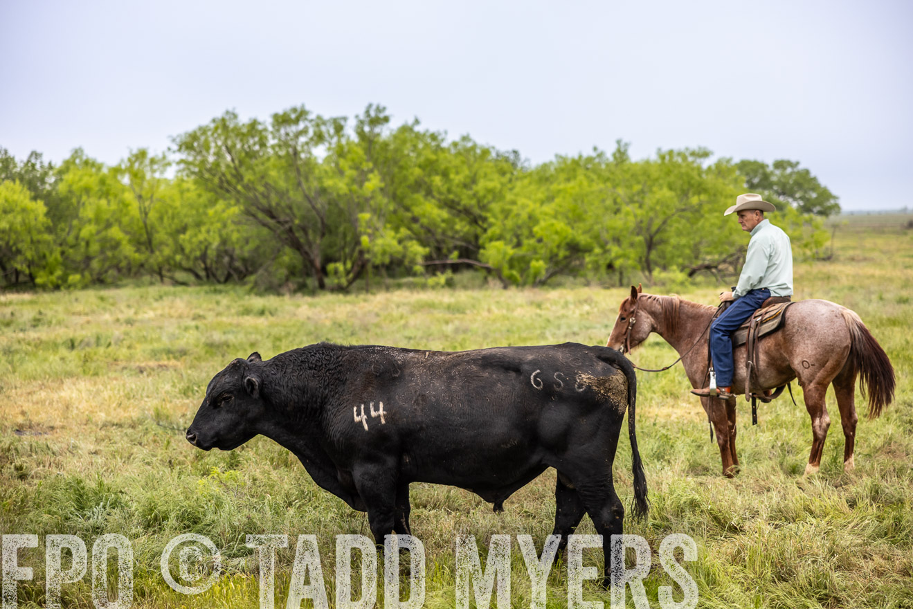TMyers_PP_CircleBarRanch_TruscottTX_April2024-511224