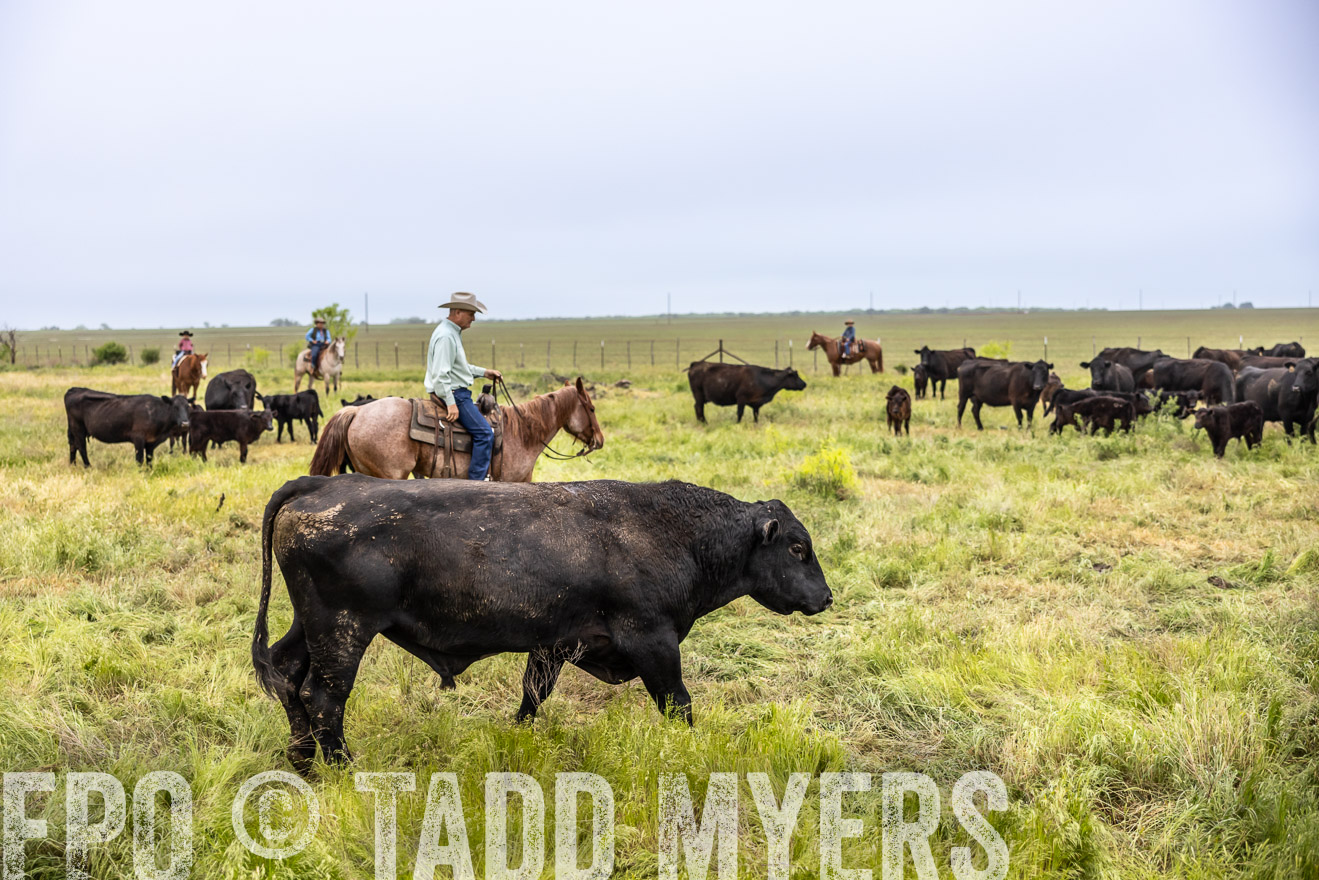 TMyers_PP_CircleBarRanch_TruscottTX_April2024-511247