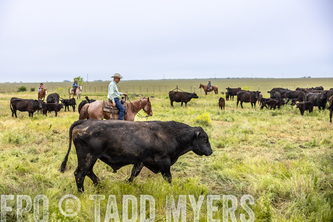 TMyers_PP_CircleBarRanch_TruscottTX_April2024-511248