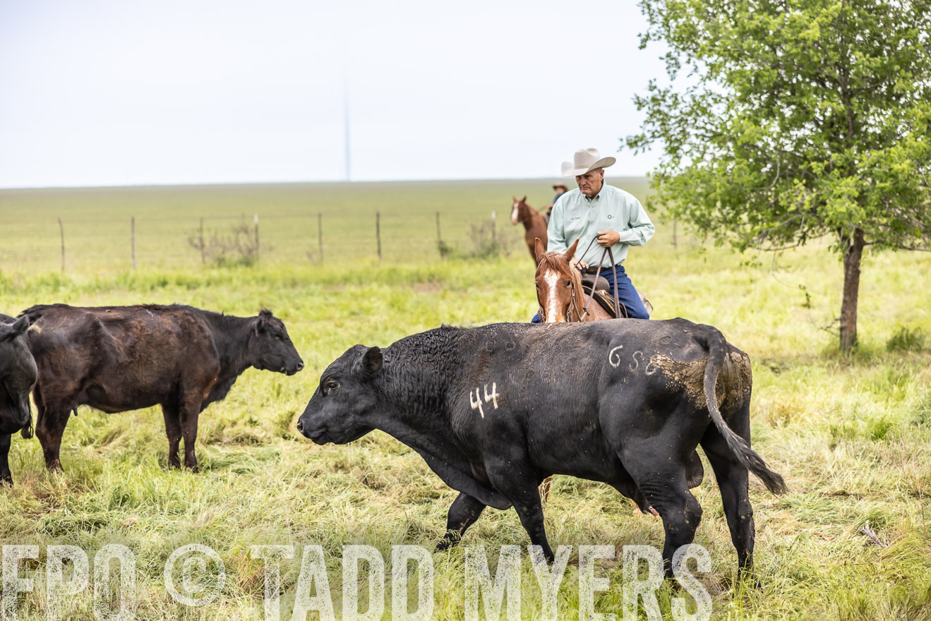 TMyers_PP_CircleBarRanch_TruscottTX_April2024-511274
