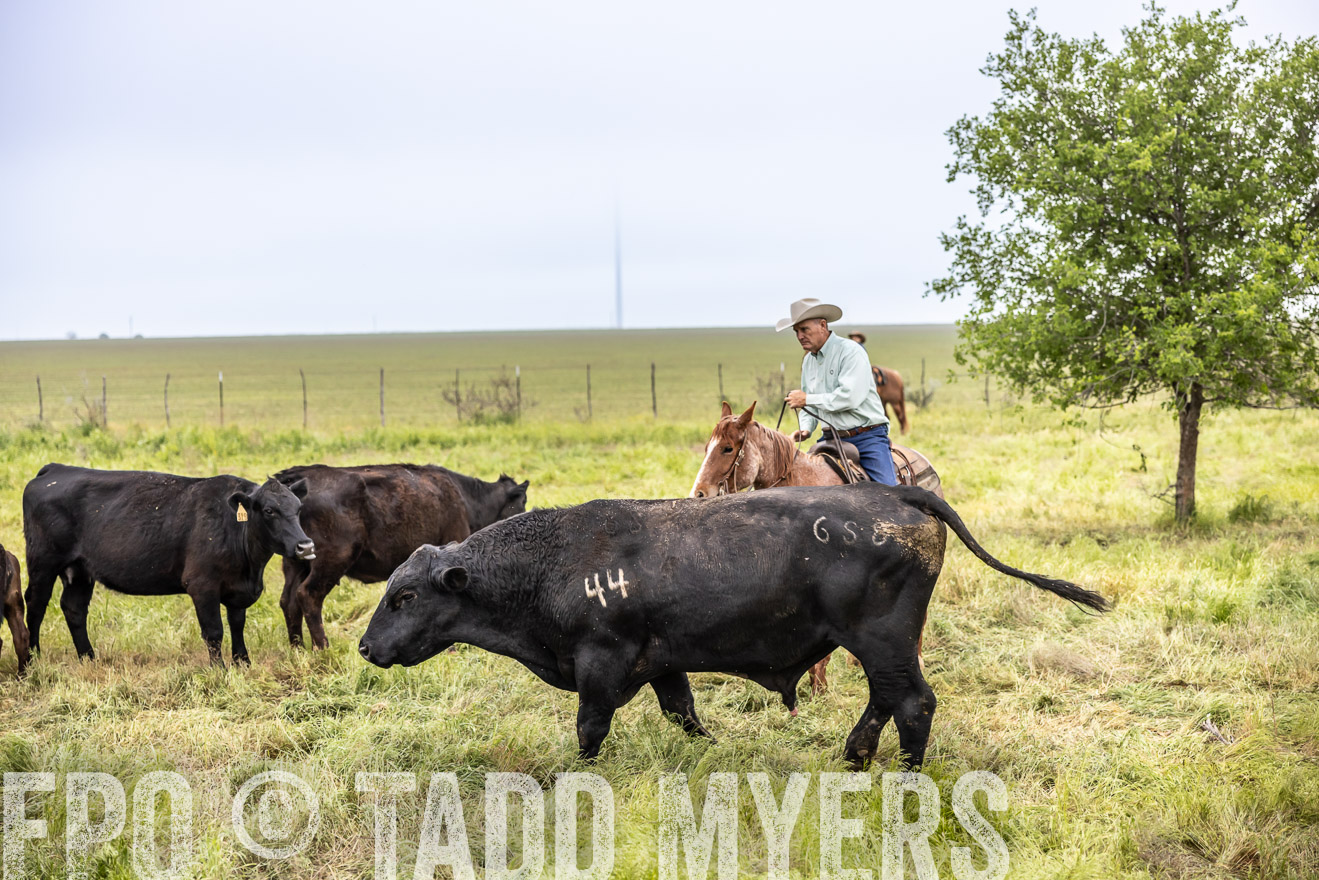 TMyers_PP_CircleBarRanch_TruscottTX_April2024-511278