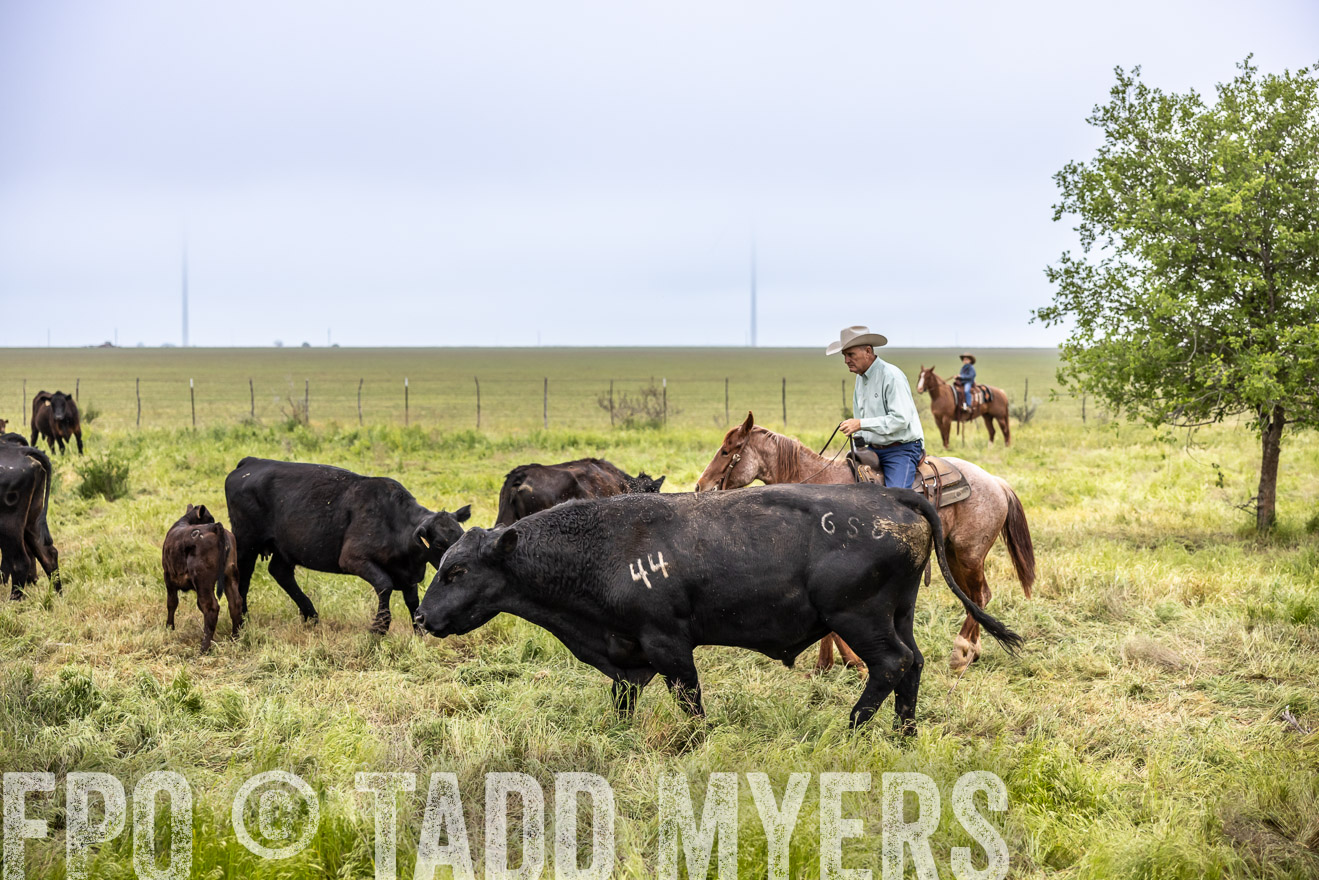 TMyers_PP_CircleBarRanch_TruscottTX_April2024-511281