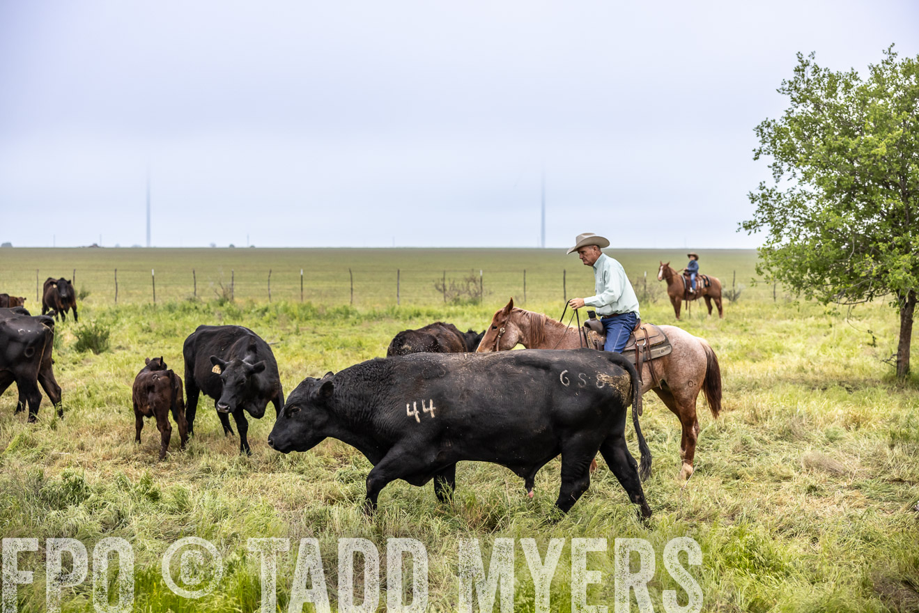 TMyers_PP_CircleBarRanch_TruscottTX_April2024-511284