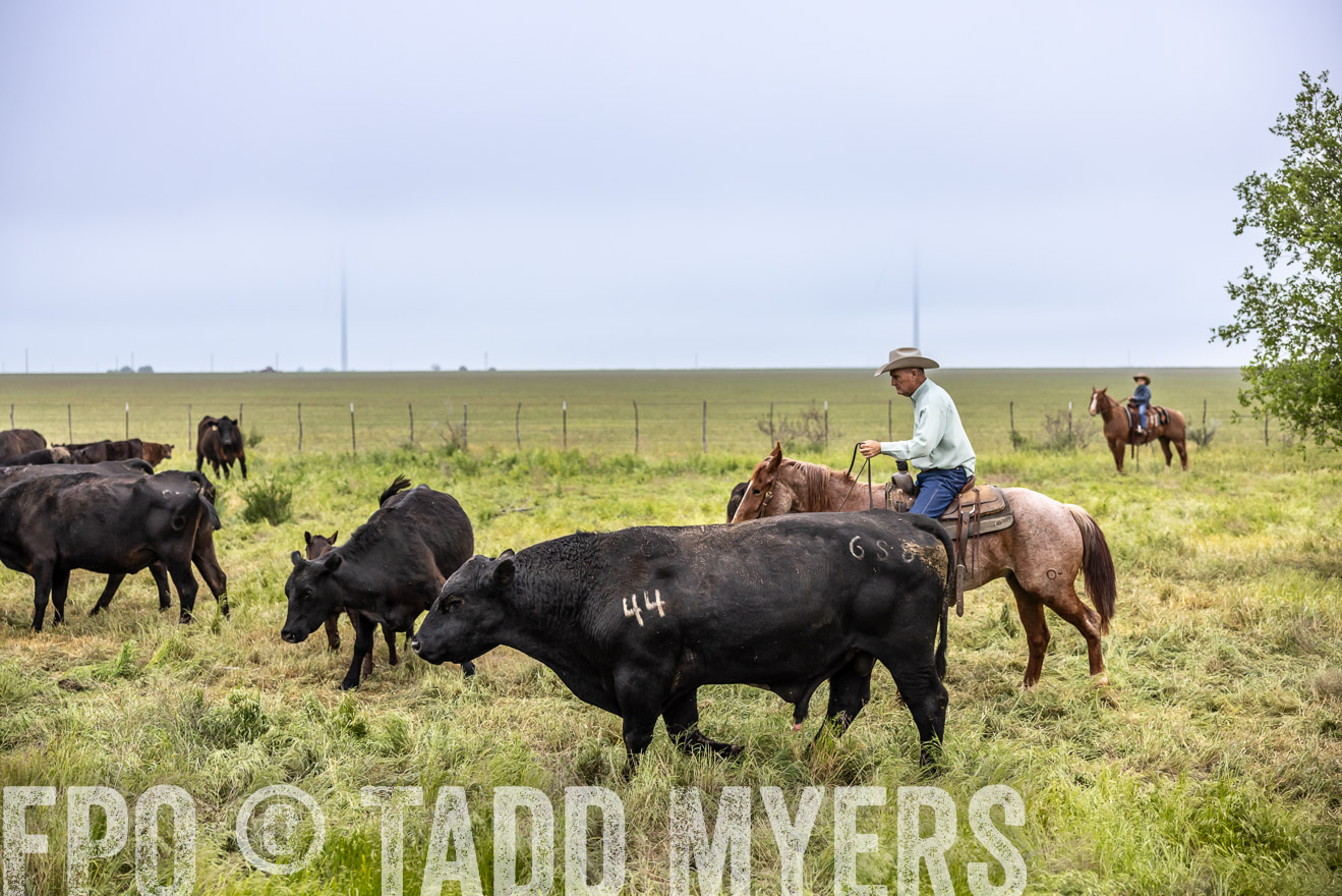 TMyers_PP_CircleBarRanch_TruscottTX_April2024-511287