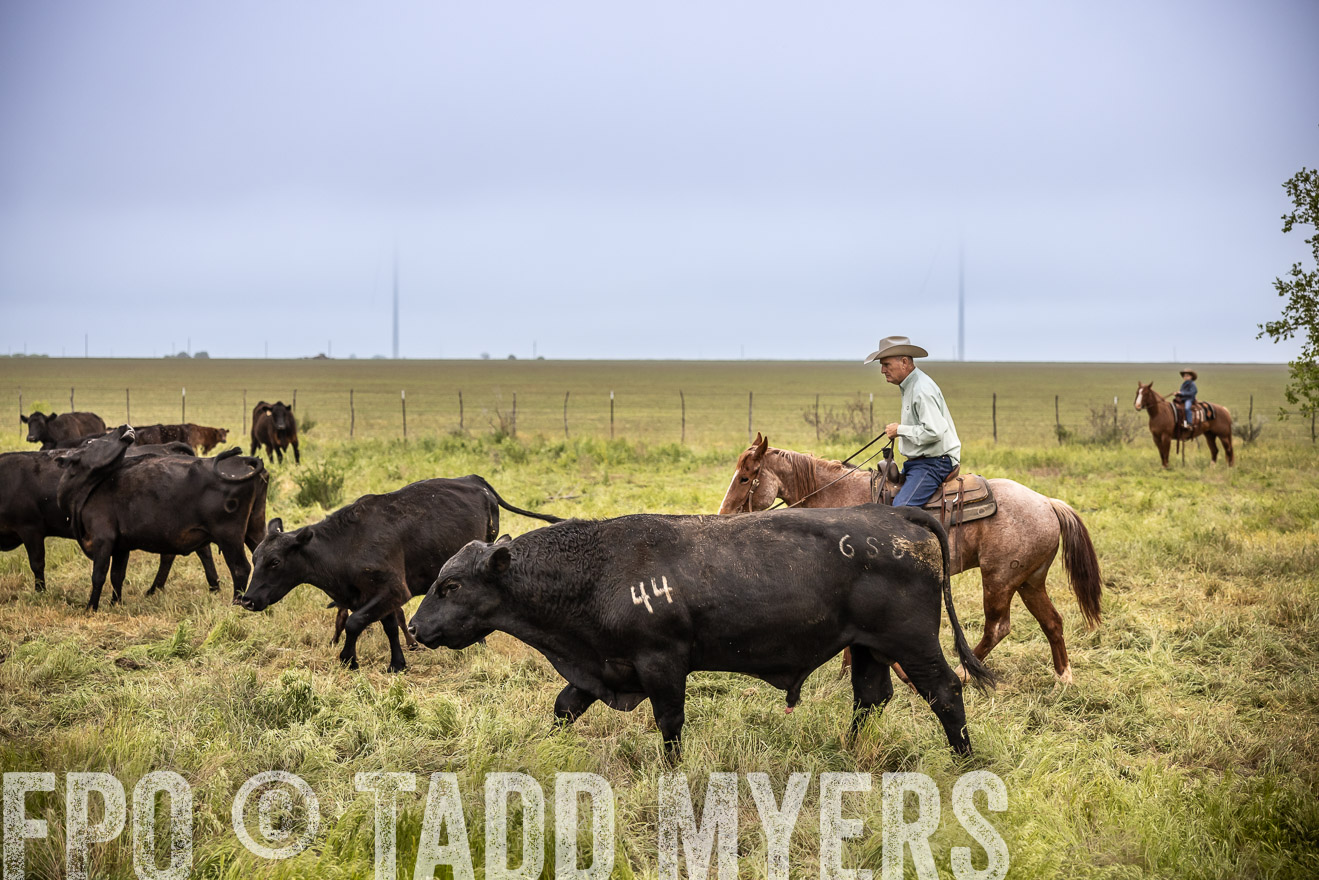 TMyers_PP_CircleBarRanch_TruscottTX_April2024-511290