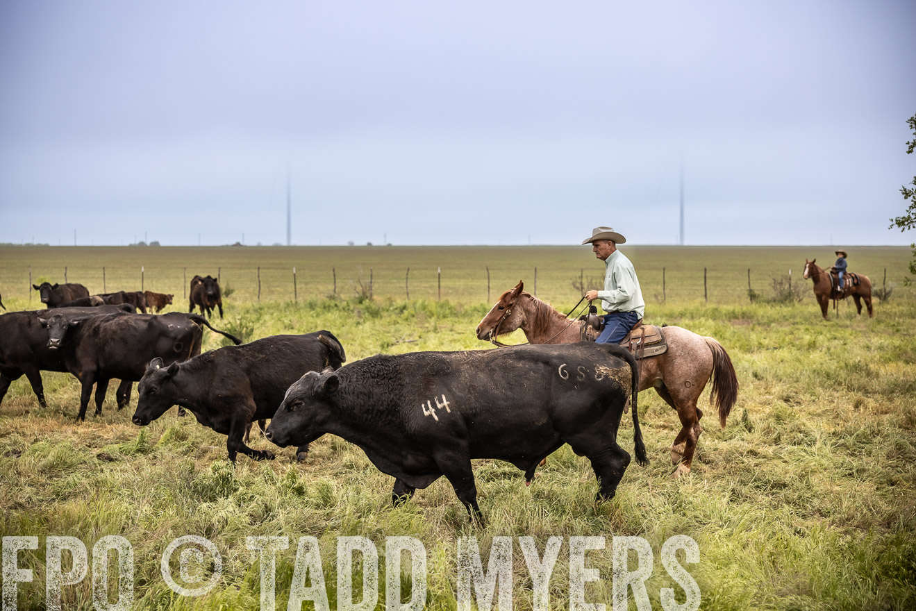 TMyers_PP_CircleBarRanch_TruscottTX_April2024-511293
