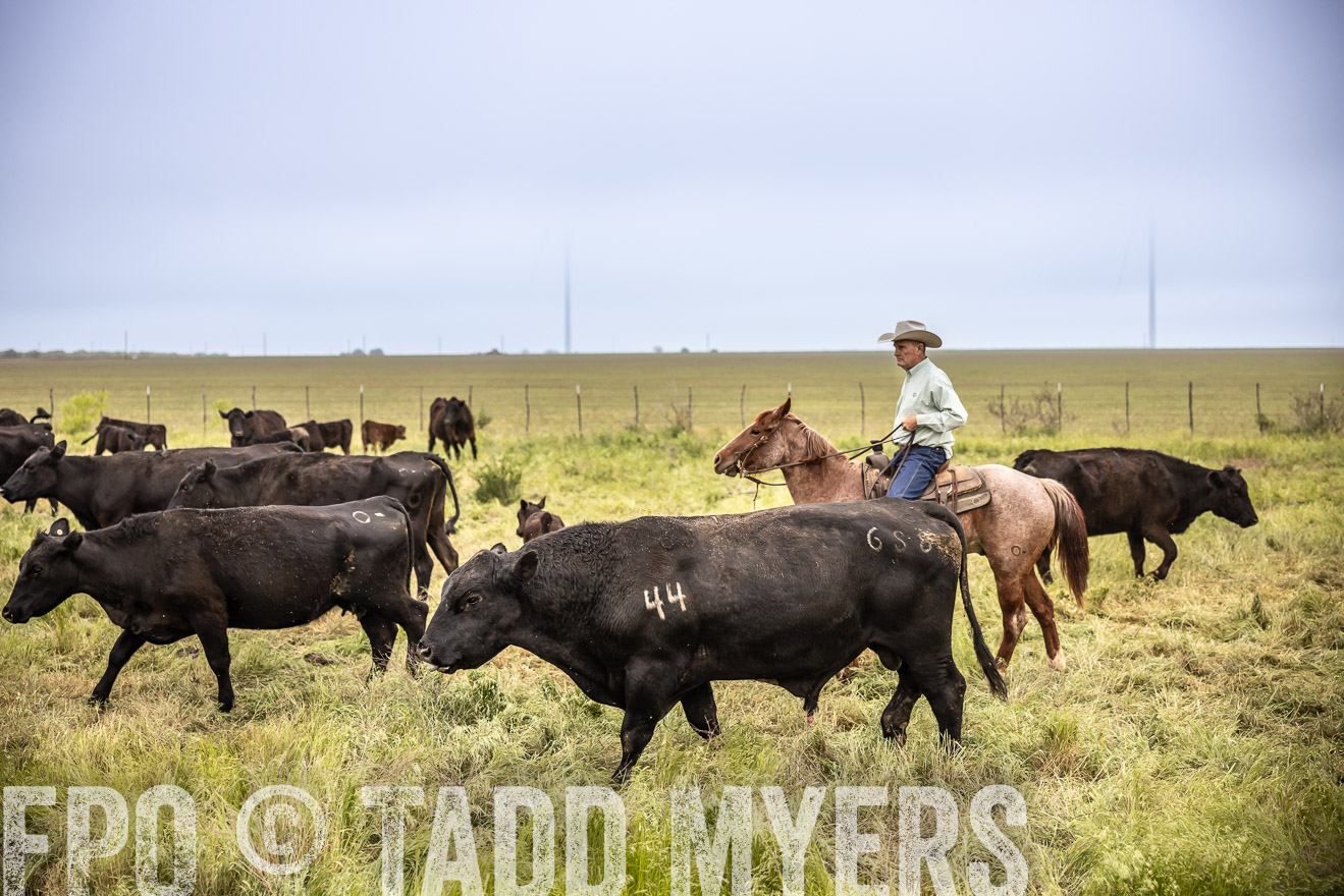 TMyers_PP_CircleBarRanch_TruscottTX_April2024-511297