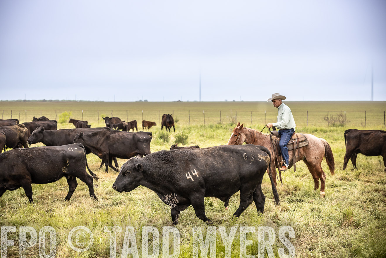 TMyers_PP_CircleBarRanch_TruscottTX_April2024-511299