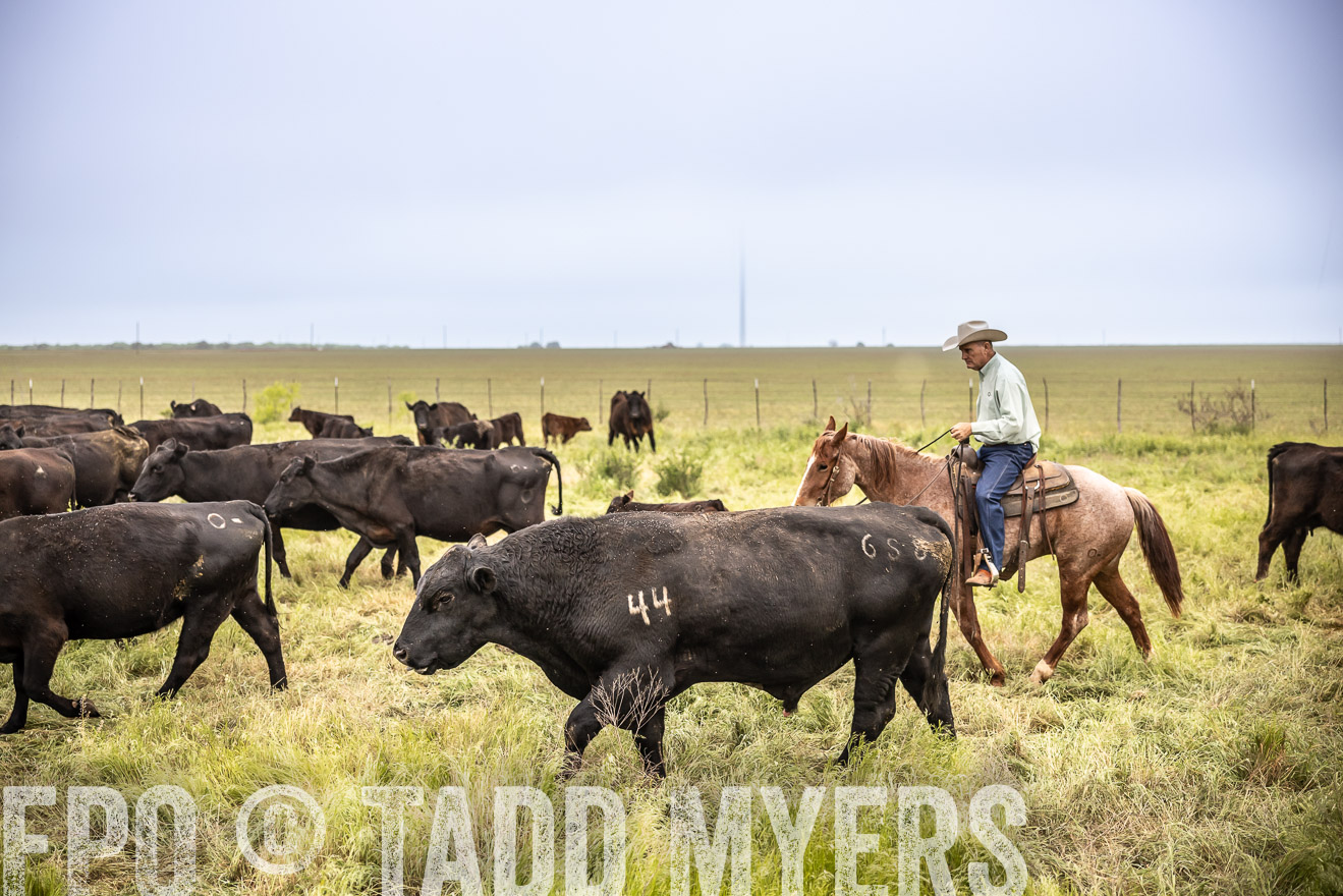 TMyers_PP_CircleBarRanch_TruscottTX_April2024-511302
