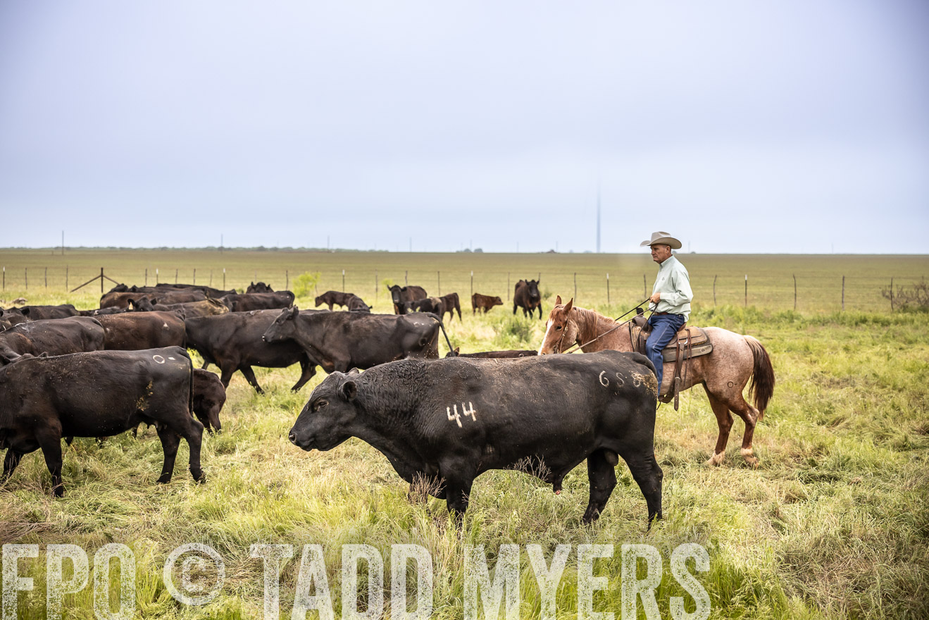 TMyers_PP_CircleBarRanch_TruscottTX_April2024-511303