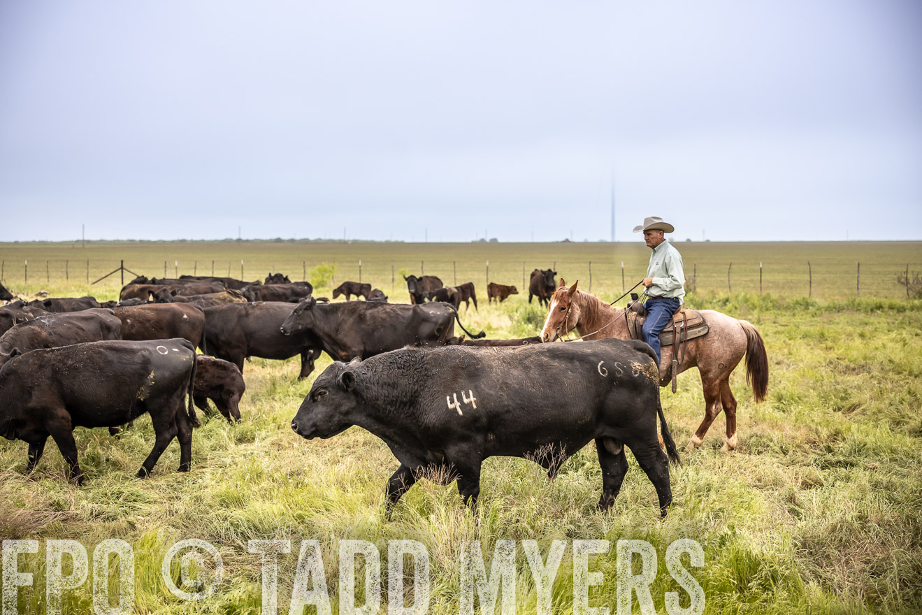 TMyers_PP_CircleBarRanch_TruscottTX_April2024-511305
