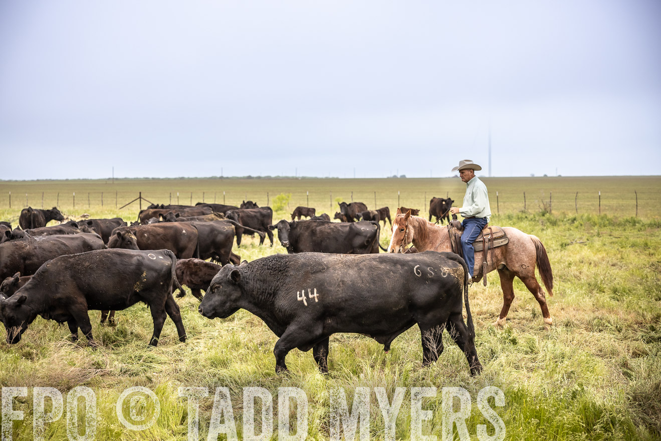 TMyers_PP_CircleBarRanch_TruscottTX_April2024-511308