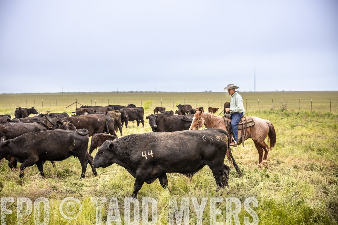 TMyers_PP_CircleBarRanch_TruscottTX_April2024-511311