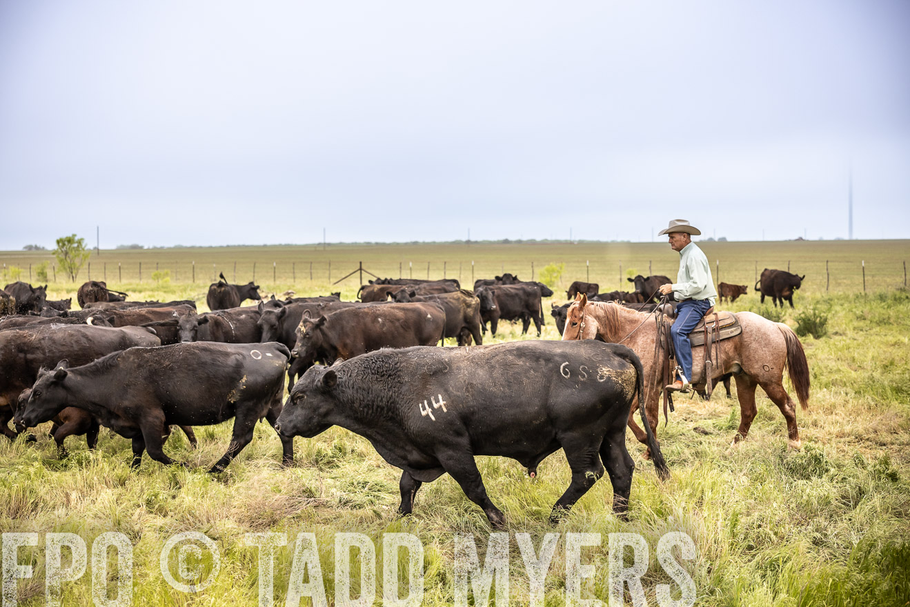 TMyers_PP_CircleBarRanch_TruscottTX_April2024-511314