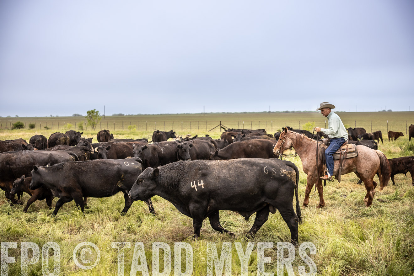 TMyers_PP_CircleBarRanch_TruscottTX_April2024-511318