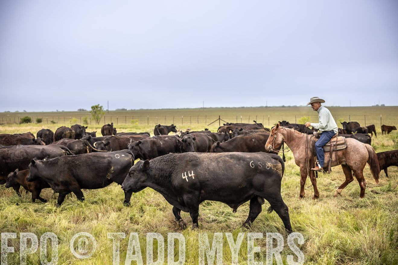 TMyers_PP_CircleBarRanch_TruscottTX_April2024-511320