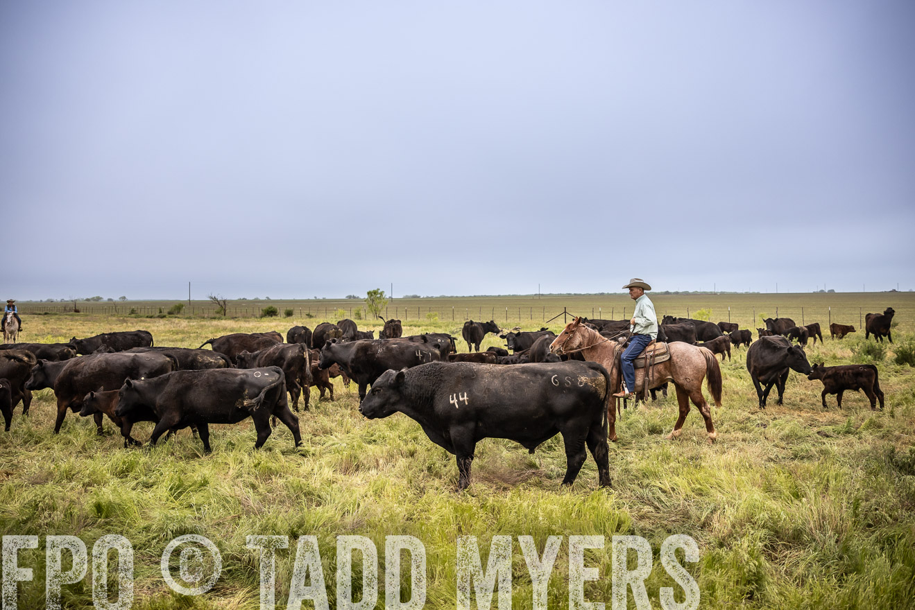 TMyers_PP_CircleBarRanch_TruscottTX_April2024-511322