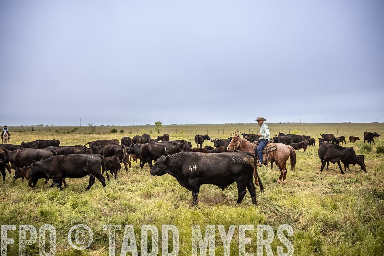 TMyers_PP_CircleBarRanch_TruscottTX_April2024-511326