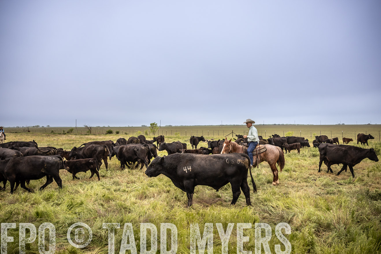 TMyers_PP_CircleBarRanch_TruscottTX_April2024-511328