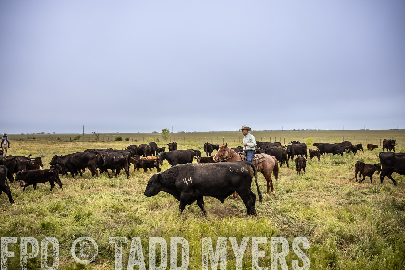 TMyers_PP_CircleBarRanch_TruscottTX_April2024-511333