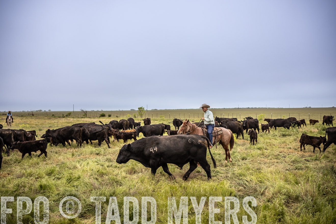 TMyers_PP_CircleBarRanch_TruscottTX_April2024-511335