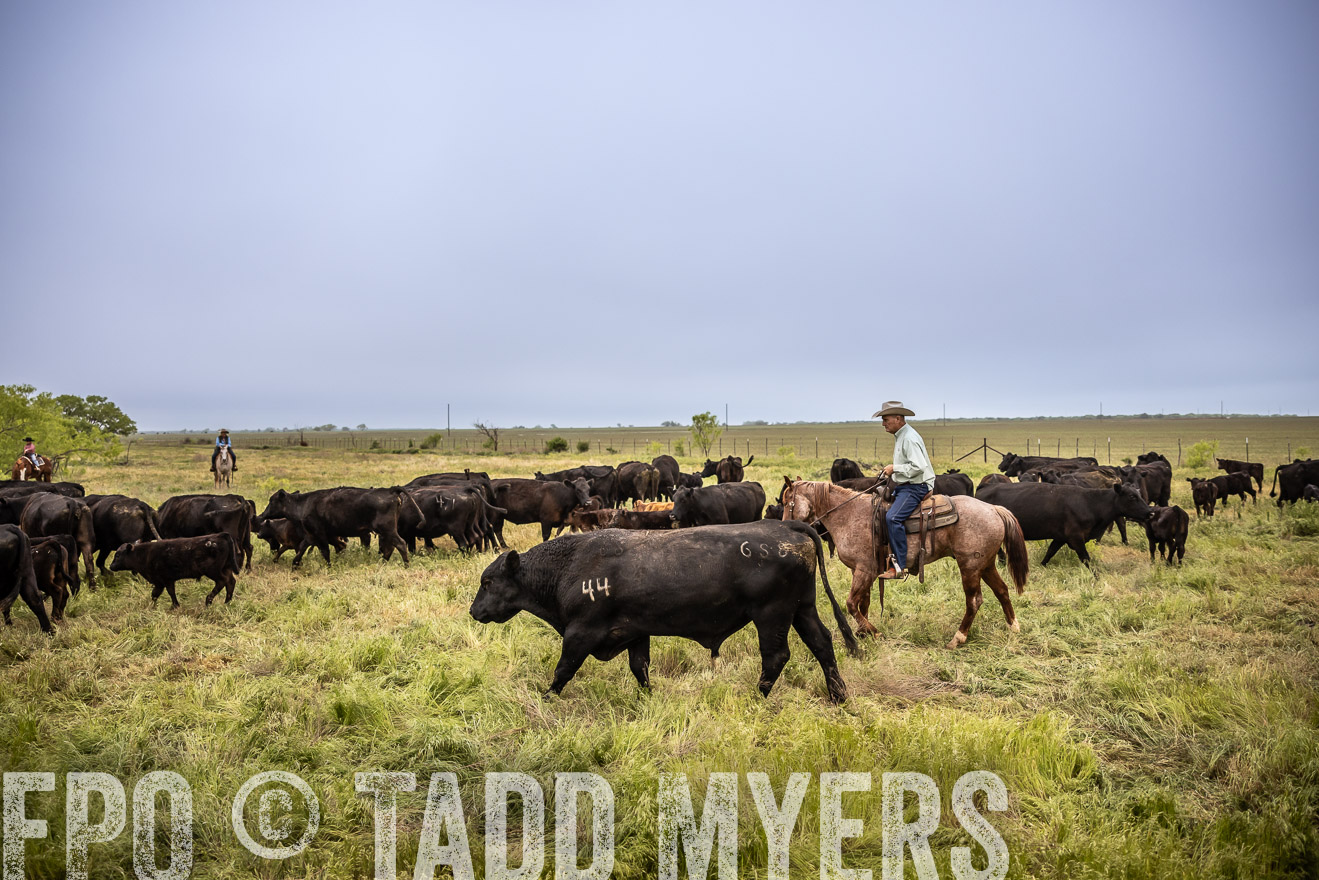 TMyers_PP_CircleBarRanch_TruscottTX_April2024-511337