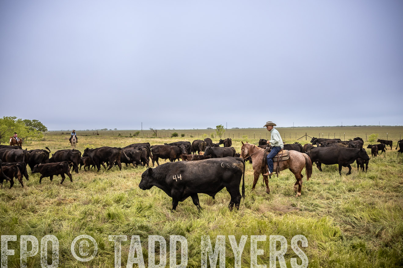 TMyers_PP_CircleBarRanch_TruscottTX_April2024-511340