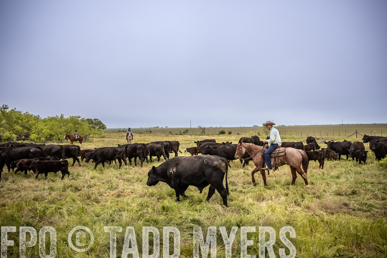 TMyers_PP_CircleBarRanch_TruscottTX_April2024-511343