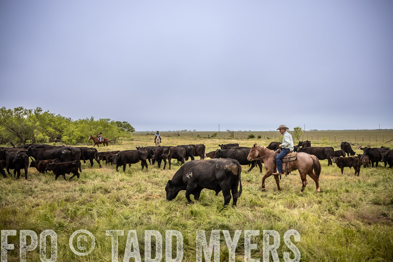 TMyers_PP_CircleBarRanch_TruscottTX_April2024-511347