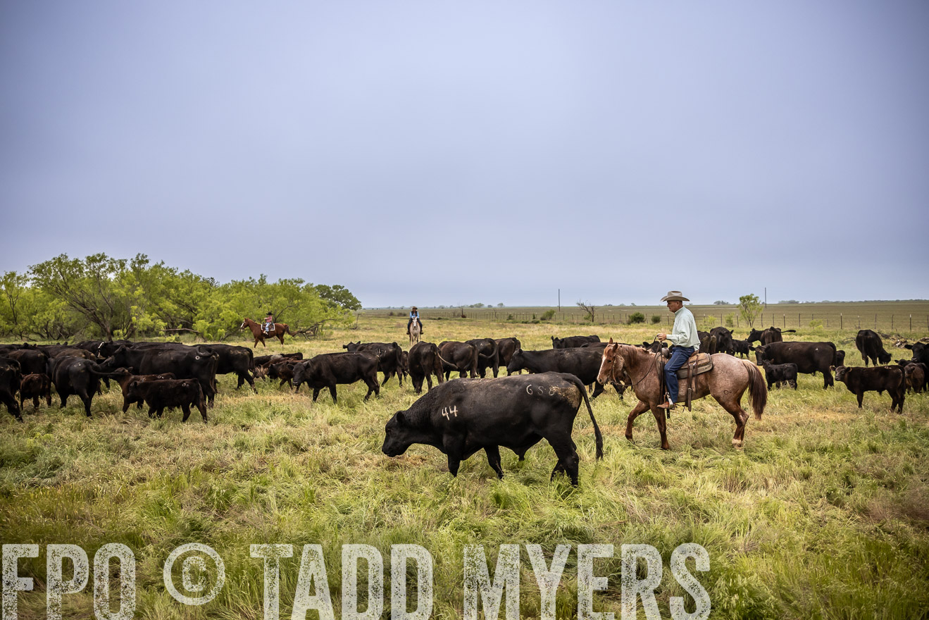 TMyers_PP_CircleBarRanch_TruscottTX_April2024-511353
